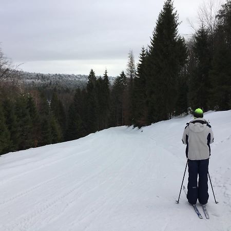Pokoje Goscinne Vida Krynica Zdroj Dış mekan fotoğraf
