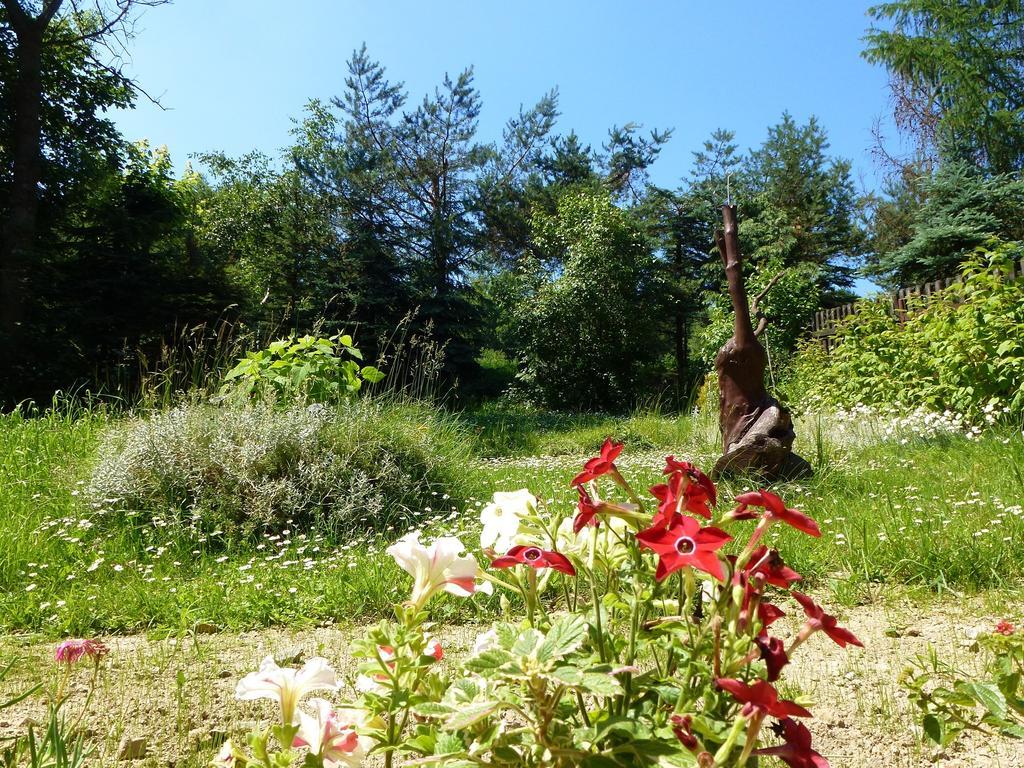 Pokoje Goscinne Vida Krynica Zdroj Dış mekan fotoğraf