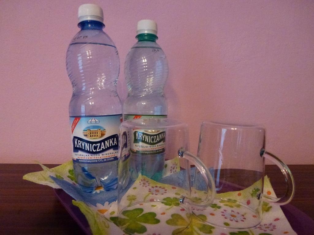 Pokoje Goscinne Vida Krynica Zdroj Oda fotoğraf
