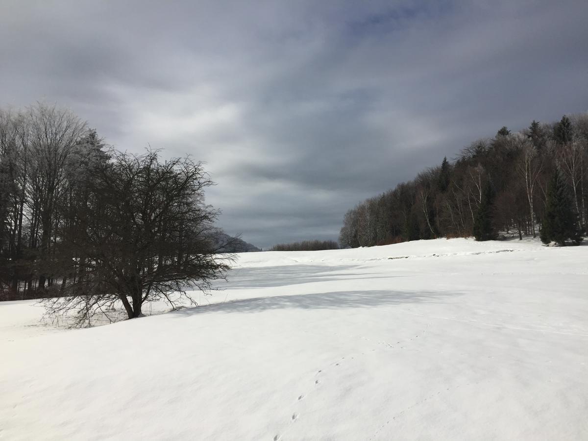 Pokoje Goscinne Vida Krynica Zdroj Dış mekan fotoğraf
